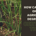 online agriculture degree