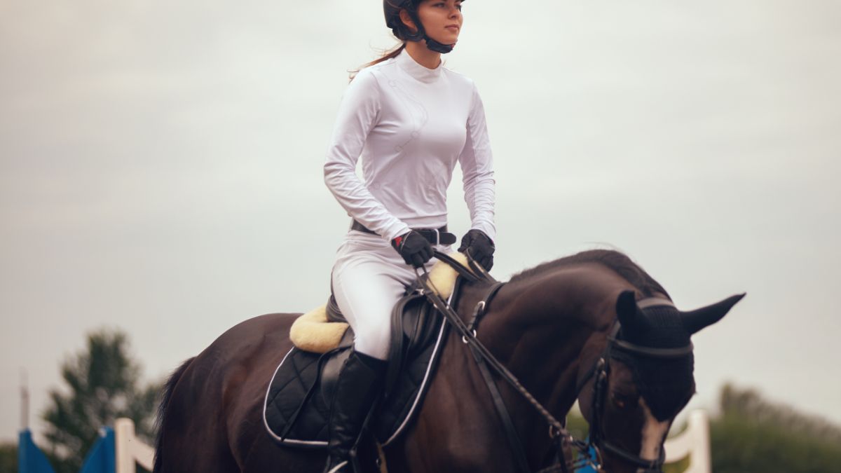 Equestrian Boarding Schools