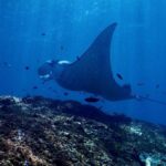 best oceanography schools