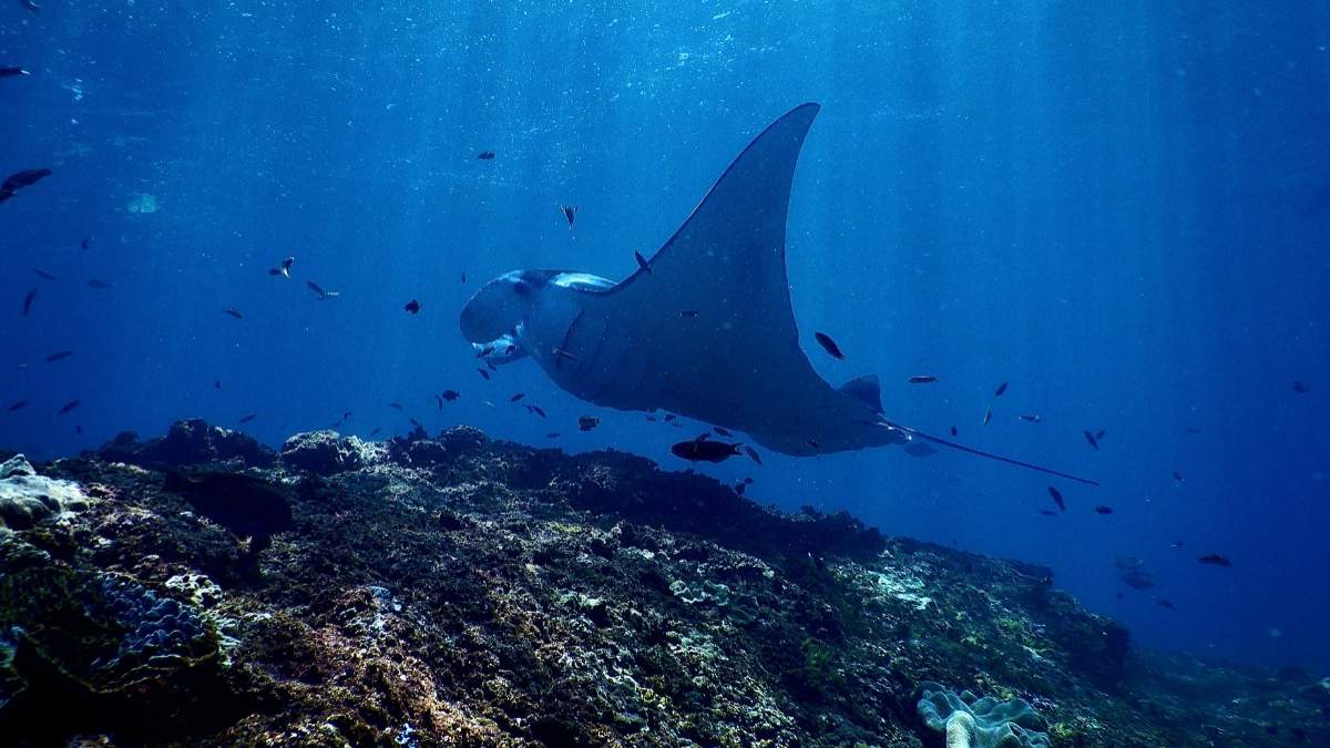 best oceanography schools