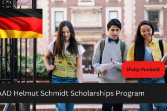 DAAD Helmut Schmidt Scholarships Program