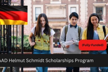 DAAD Helmut Schmidt Scholarships Program
