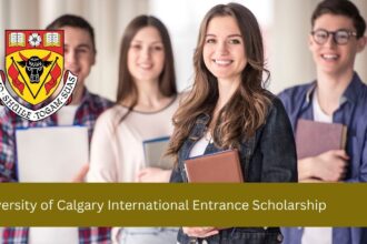 University of Calgary International scholarships