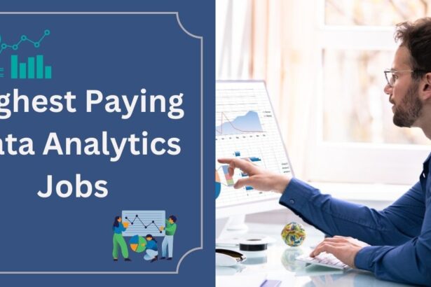 Highest Paying Data Analytics Jobs