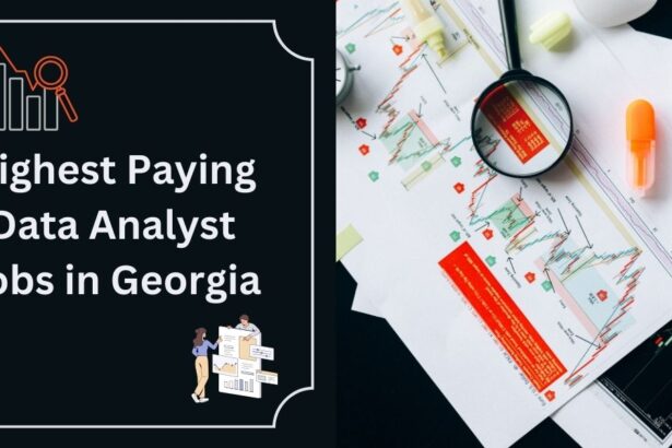 Highest Paying Data Analyst Jobs in Georgia