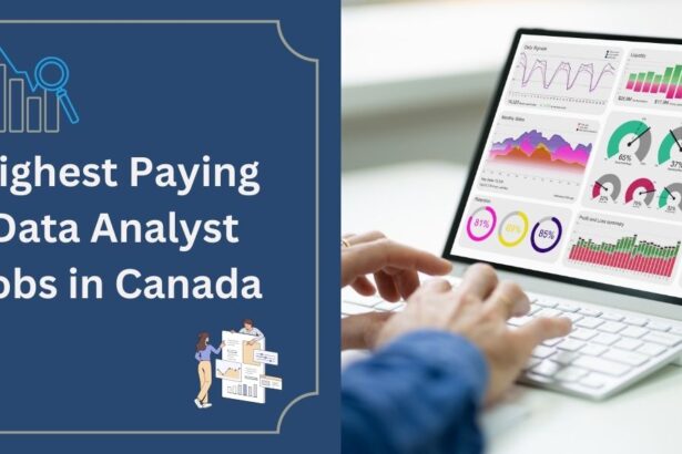 Highest Paying Data Analyst Jobs in Canada