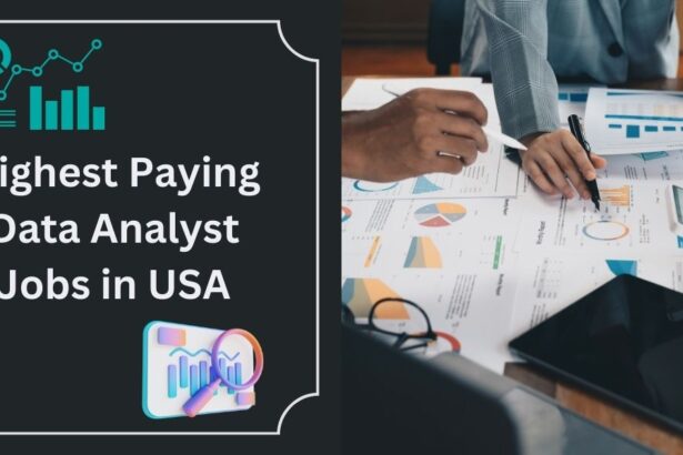 Highest Paying Data Analyst Jobs in USA