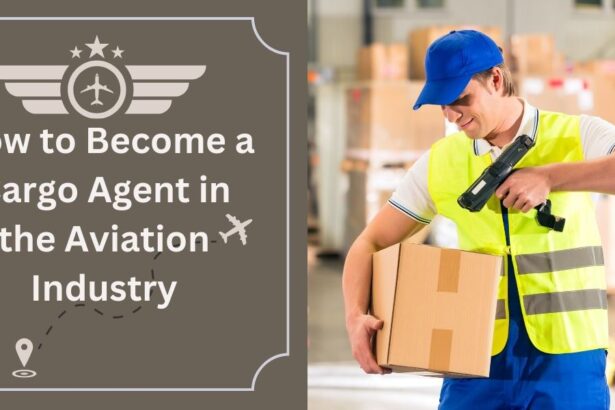 Cargo Agent in the Aviation Industry