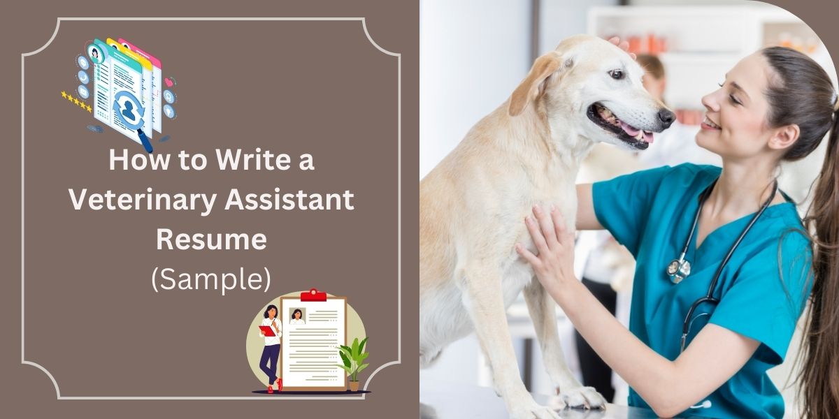 Veterinary Assistant Resume